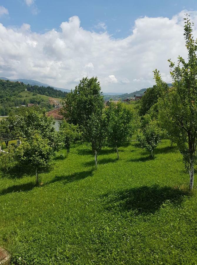 Villa Fruit Garden *